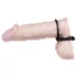 You2Toys - Penis- ja kivestenrengas teräs
