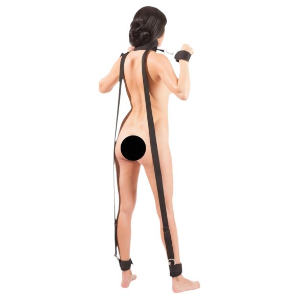 Bad Kitty - sidontasetti - täydellinen setti