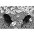 You2Toys - Diamond - Silikoninen anustappi (pieni)