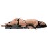 You2Toys - Bondage Board - 13-osainen kannettava bondage-setti