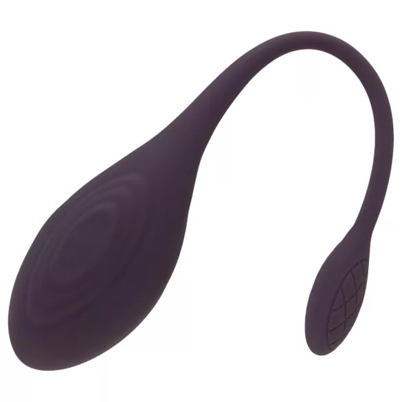 You2Toys - kauko-ohjattava vibraatiomuna - ladattava - violetti
