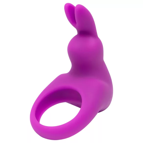 Happyrabbit - värisevä penisrengas säilytyskotelolla - lila