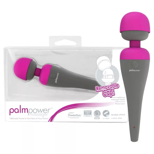 PalmPower hieromasauva, vaihdettavat päät