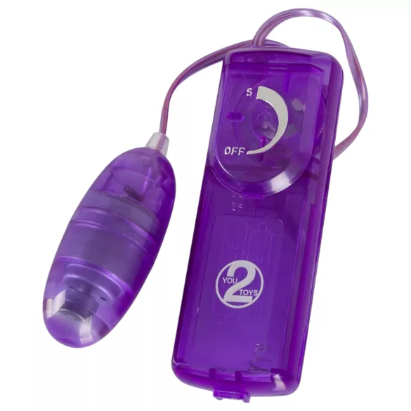 You2Toys - Vibraattorisetti - 9 osaa - violetti
