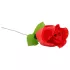 Panty Rose - ruusukukkainen stringtanga - punainen S-L