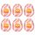 TENGA Egg Tube - muna-masturbaattorit (6 kpl)
