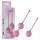 Passion Play - Kegel-pallosetti (pinkki)