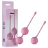 Passion Play - Kegel-pallosetti (pinkki)