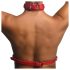 Tiukka kaulahihna punainen harness