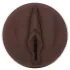 Fleshlight Nicole Kitt Purrrrrfection - masturbaattori - vagina