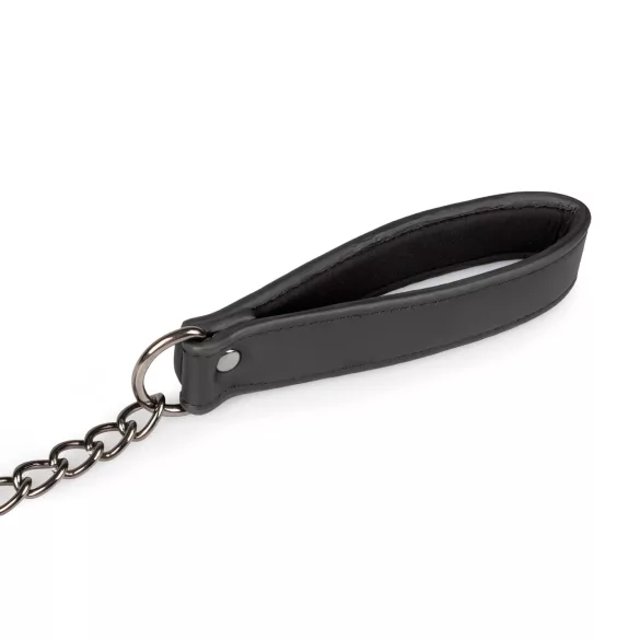 Easytoys - nännipidikesetti kaulapannalla ja talutushihnalla - 4 osaa