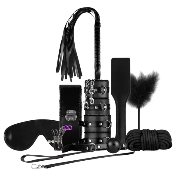 Secret Pleasure Chest - BDSM aloittelijoille - 14 osaa - musta