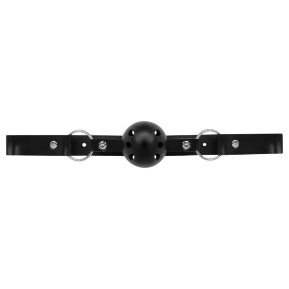 Secret Pleasure Chest - BDSM aloittelijoille - 14 osaa - musta