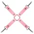 Secret Pleasure Chest - edistynyt BDSM‑setti - 14 osaa (pinkki)