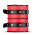 Secret Pleasure Chest - BDSM-setti edistyneille - 10 osaa - punainen