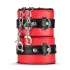 Secret Pleasure Chest - BDSM-setti edistyneille - 10 osaa - punainen