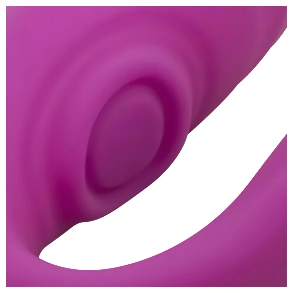 Easytoys - parivibraattori - vedenpitävä, kaukosäädin - pinkki