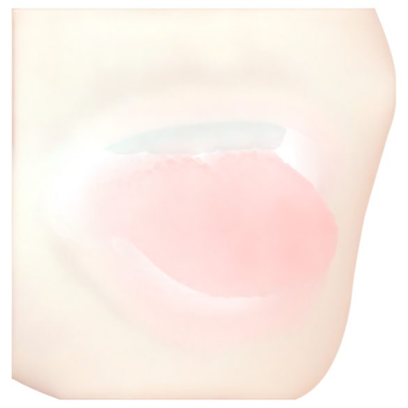 FWB - suuseksi- ja vaginaaukko - realistinen - vaalea