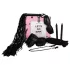 Pleasure Box Let’s Go Kink - sidontasetti - 6 osaa